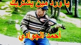 Ya Ward, (Violin, Keman) ياورد مين يشتريك، محمد عبد الوهاب