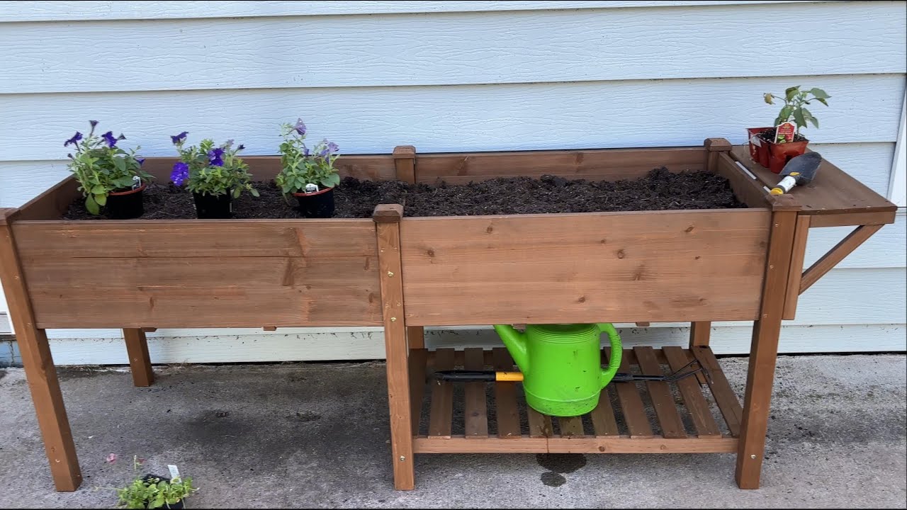 Garden Video 2