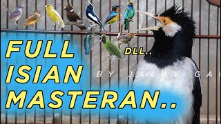 Download lagu 100% JITU...!!! Bikin jalak suren lawan NGAMUK dan IKUT NEMBAK | Pancingan dan Masteran Jalak Suren mp3 Download lagu 100% JITU...!!! Bikin jalak suren lawan NGAMUK dan IKUT NEMBAK | Pancingan dan Masteran Jalak Suren mp3