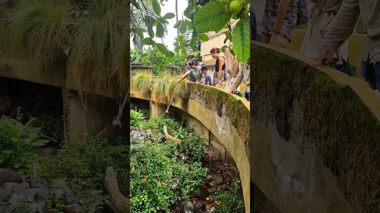 YouTube Short thumbnail