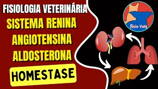Sistema renina-angiotensina-aldosterona: Controle da pressão arterial