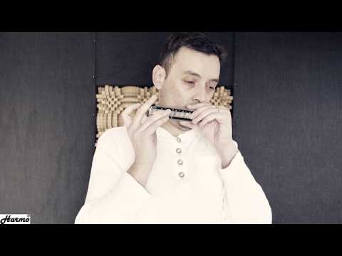 Chromatic Harmonica | Harmo Admiral 64 - 16 hole Brass harmonica | Greensleeves || Harmo Harmonicas