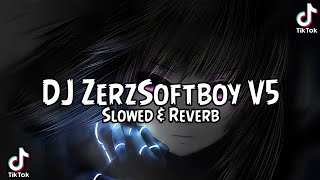Download lagu DJ ZerzSoftboy V5 Slowed & Reverb by Nuranawa mp3