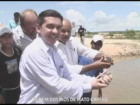 Projeto Natureza Viva 2010 | Sérgio Ricardo participa de ação ambiental no Rio Jauru, em Indiavaí MT