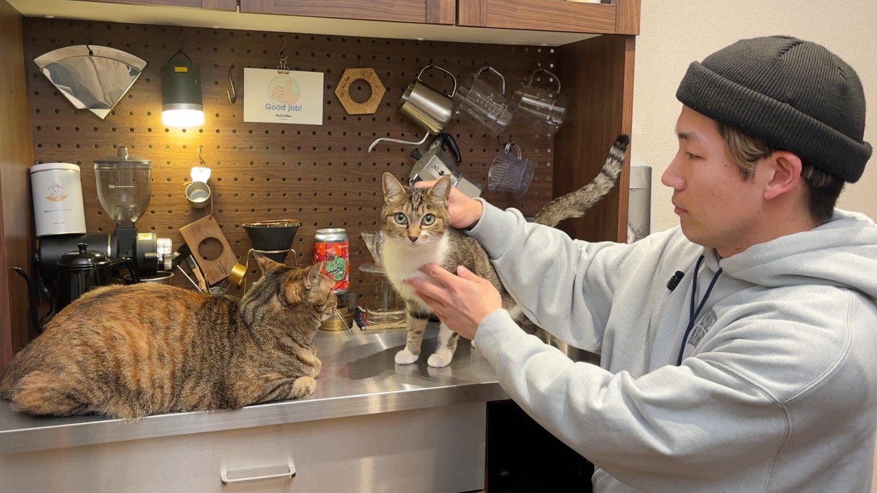 あんずとゆず【引越し】