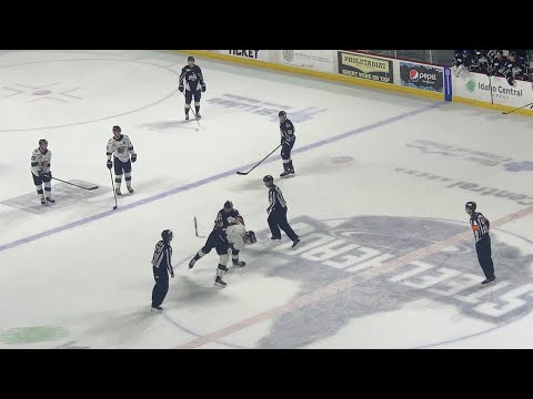 Idaho Stealheads and Utah Grizzlies Hockey Fight