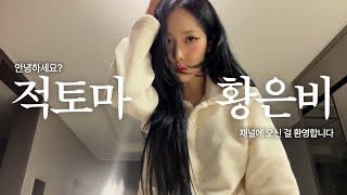 연말연초 브이로그