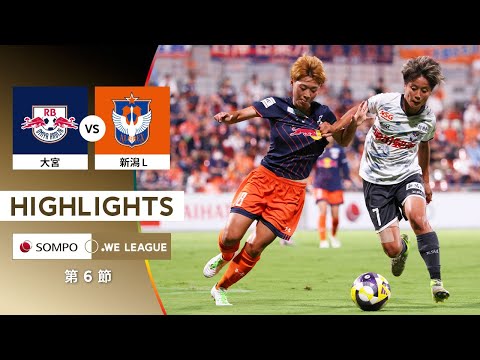 bg-highlight