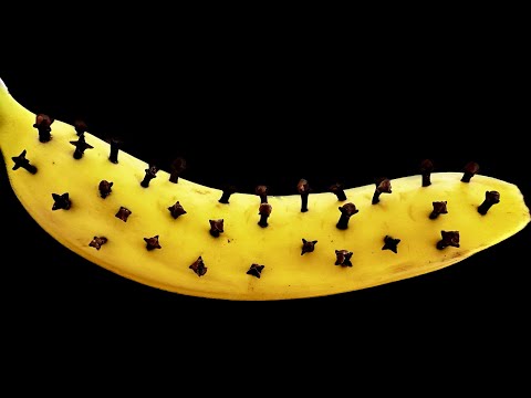 150 times stronger than garlic and lemon! Destruction of all bacteria and fungi! no cough