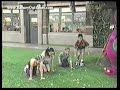 Barney The Dinosaur Bloopers Outtakes Candy Bites Back Birthday Olé S6E10