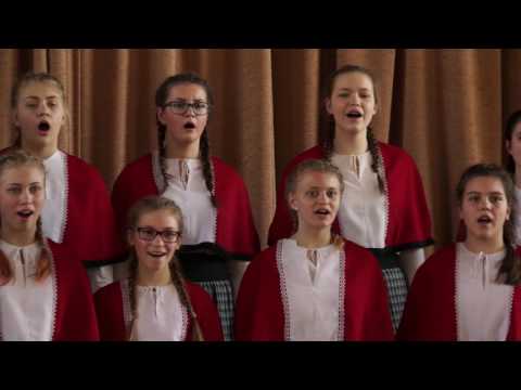 Virumaa tütarlastekoor