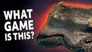 Resurrecting a Charred ColecoVision Cartridge: A Tale of Meltdown, Mystery, and Near Misses