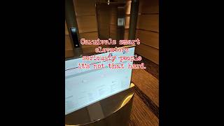 Carnival Panorama Smart Elevators #cruiseship #cruisetour #cruise #carnivalpanorama
