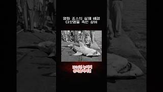 Download lagu 1916년 뉴저지의 잔인한 상어습격사건 mp3