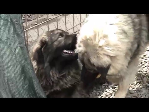 Zašto kupiti kalendar 2016.?