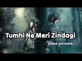 Tumhi Ne Meri Zindagi Kharab Ki Hai Slowed And Reverb Sania Typist1