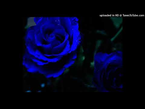 Dj Swicho - Something impossible - www.bm3music.com (BM3MUSIC.TUMBLR.COM)