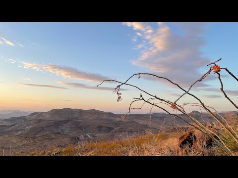 youtube embeded image