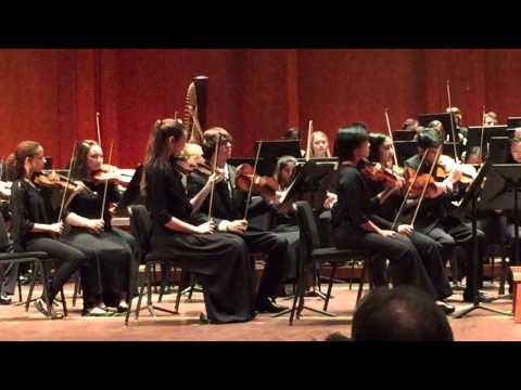HSPVA symphony