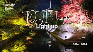 วัดโทจิ ไลท์อัพ ความงามยามค่ำคืน [4K]