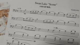 Download lagu チャイコフスキー「白鳥の湖(情景)」チェロ演奏用 / Tchaikovsky 'Swan Lake (Scene)' for cello players mp3 Download lagu チャイコフスキー「白鳥の湖(情景)」チェロ演奏用 / Tchaikovsky 'Swan Lake (Scene)' for cello players mp3
