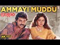Ammayi Muddu 4K Video Song Kshana Kshanam Venkatesh Sridevi M M Keeravani Telugu Old Songs