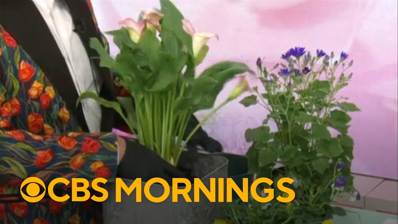 Create your own floral design for planters in your home
