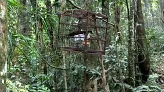 Download lagu Mikat cililin di hutan Sumatera ternyata bukan target cililin yang di dapat mp3