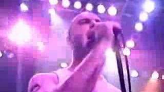 screeching weasel - acknowledge