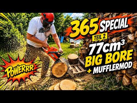 365 Special Teil 2 - Powerrr durch 77cm³ Big Bore Zylindersatz + Mufflermod - easy zum Nachmachen