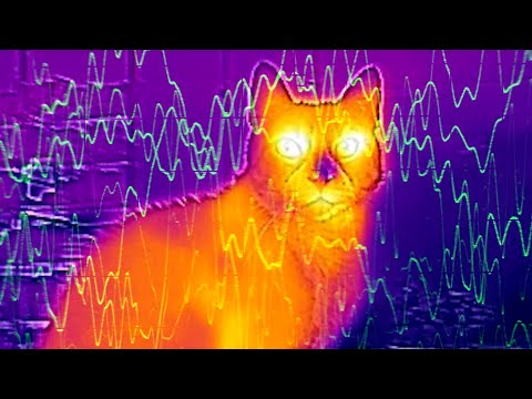 RVDS - Reset My Brain (Official Music Video)