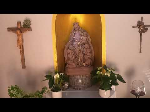 Mosel Camino Etappe 6 Monzel nach Ensch über Klausen /  und auf der Flucht vor dem Rudemsmännchen