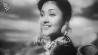 Nagin (1954) Hindi Full Length Movie  Vyjayanthima