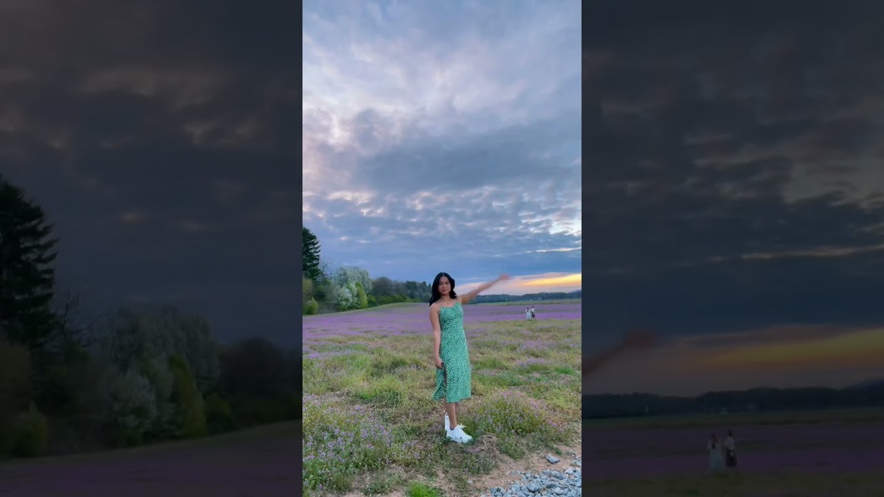 Beautiful lavender field!🥺🤍