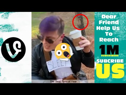 THOMAS SANDERS Best Videos 2020 | Funny Thomas Sanders Vine Compilation |