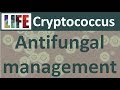 Cryptococcal meningitis: treating with antifungals