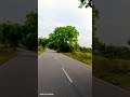 Valineduka Kattu Malli Ilayaraja Ananya Viduthalai Viral Trending Movie