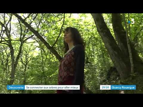 Sud-Aveyron : insolite balade en forêt pour une séance de sylvothérapie, 