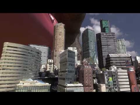 Macro Paw Stomp Compilation 2022