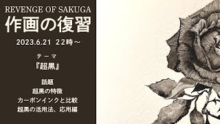 万年筆インク『超黒』で描く【作画の復習22】