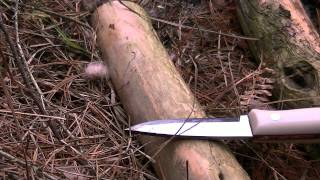 Woodsman's Tea, Hot Dogs, And The Beautiful Adirondacks