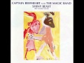 Captain Beefheart and the Magic Band - Tropical Hot Dog Night