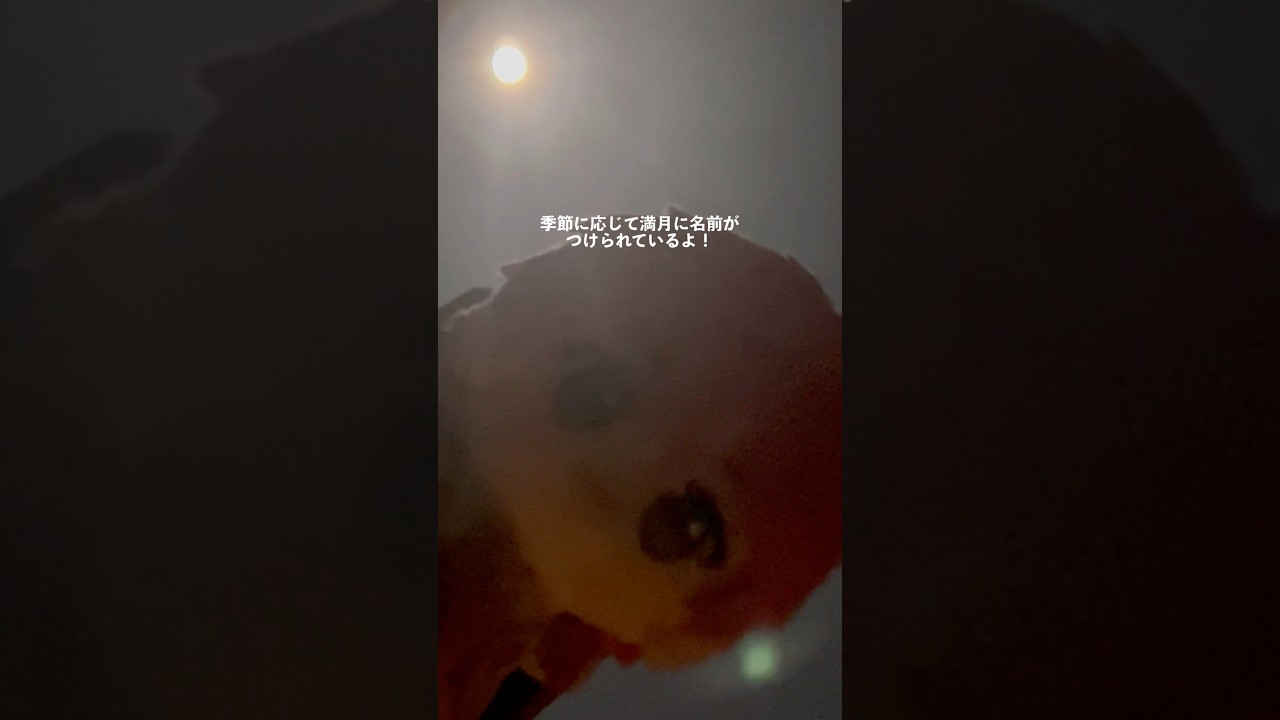 雨でも曇りでも満月パワーは有効です#すとぷり