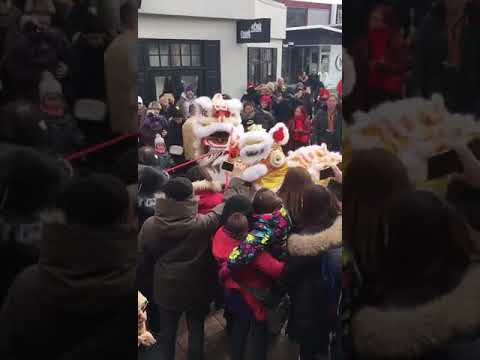 Lion Dance Dix30 Chinese New Year