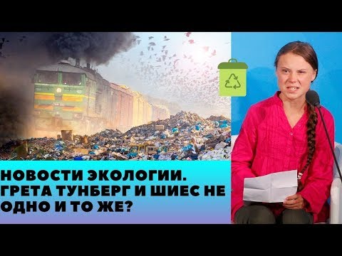 Новости Экологии. Грета Тунберг и Шиес не одно и то же?
