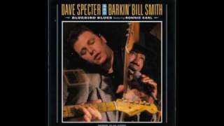 Dave Specter: Wind Chill