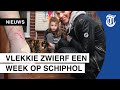 Bebloede armen Schipholmedewerkers, maar kat Vlekkie is weer thuis