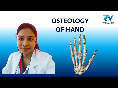 Osteology of Skeleton of Hand by Dr. Rajitha Vanga