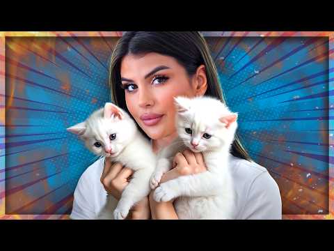 Zara Secret kauft die Katze im Sack