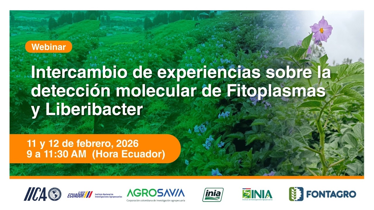Intercambio de experiencias sobre la detección molecular de Fitoplasmas y Liberibacter. Día 1